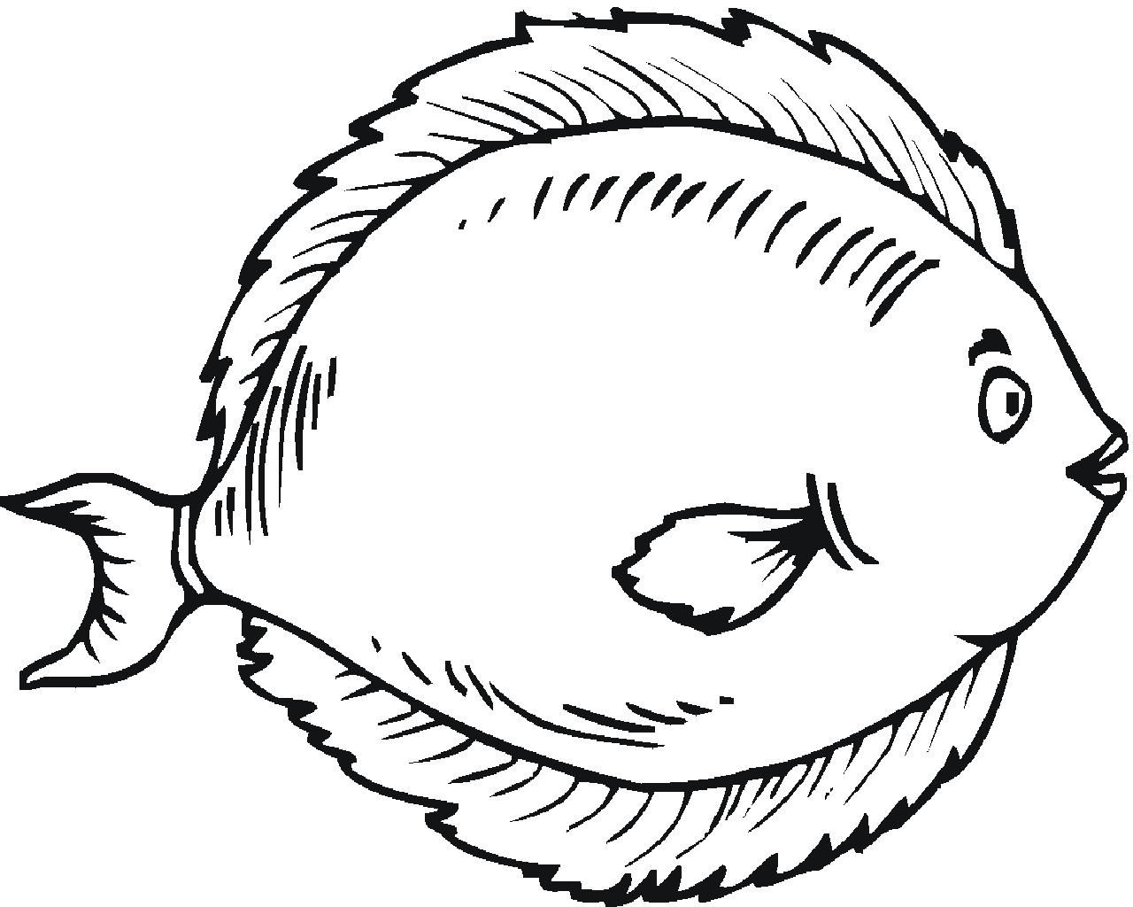 Draw Fish - ClipArt Best