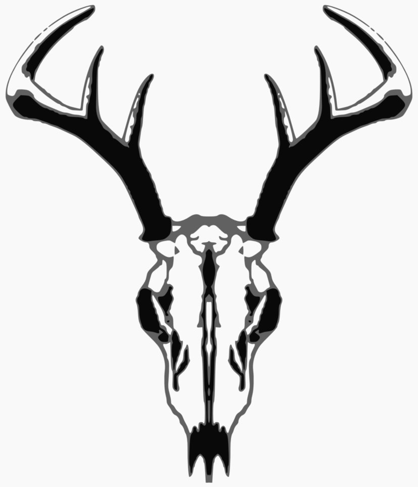 Deer Skull Pictures - ClipArt Best