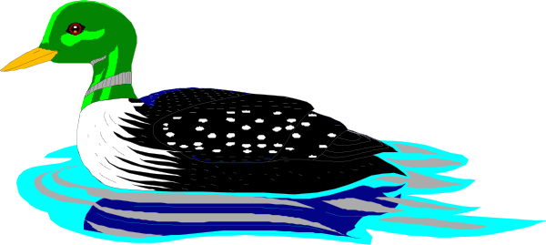 Water Loon Clipart
