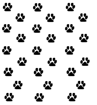 Paw Wallpaper Clipart