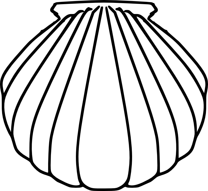 Sea Shell Template