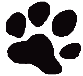 How To Draw A Tiger Paw Print