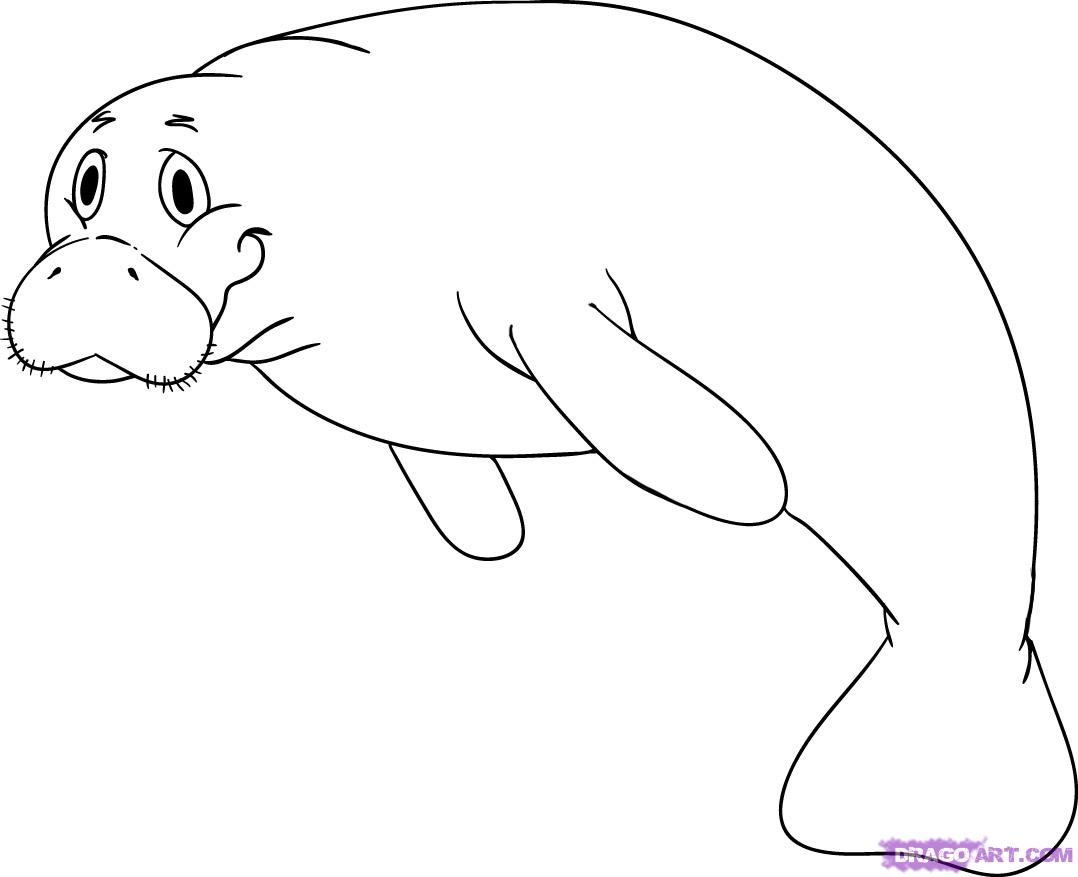 Manatee Clip Art - ClipArt Best
