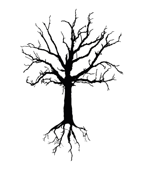 Tree Root Drawings
