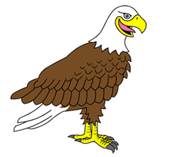 Draw a Cartoon Eagle