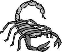Drawings of Scorpions and Other Creepy Invertebrates