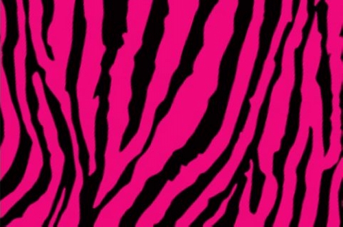20 Cool Zebra Print Background Collection | CreativeFan