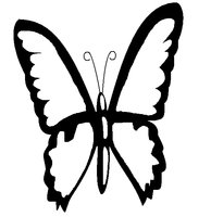 butterfly_base_by_latortugaacuatica-d3jp95i.png