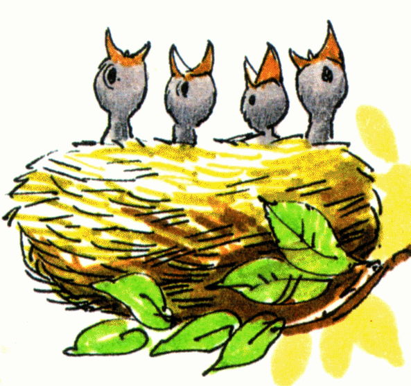 538 views Birds Nest With Eggs Clipart