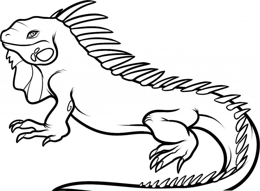 Iguana Coloring Page Best Photos Of Iguana Coloring Pages ...