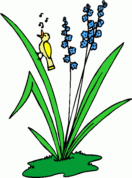 clipart plants and animals - photo #10