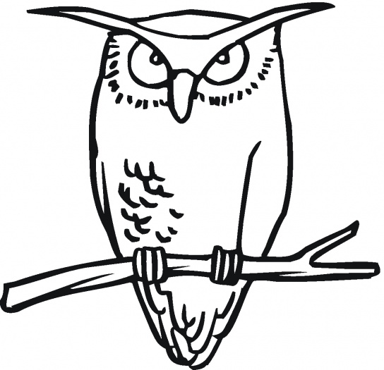 Owl 15 coloring page | Super Coloring