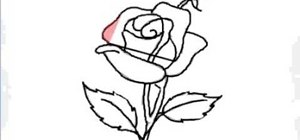 draw-single-red-rose-for- ...