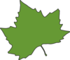 Green Leaf Maple - vector clip art online, royalty free & public ...