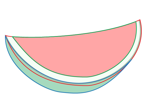 Drawing Line Qt : Water melon drawings clipart best