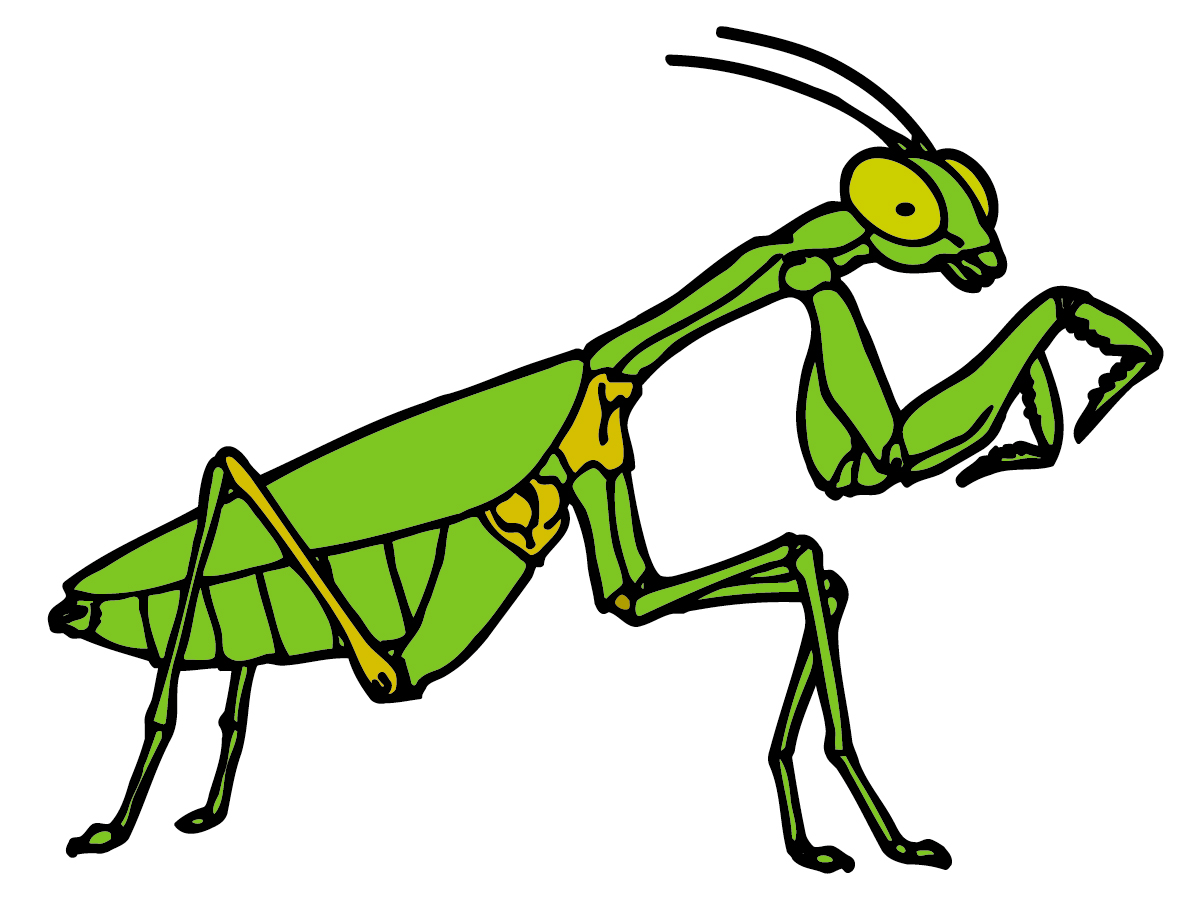 free clip art grasshopper - photo #9
