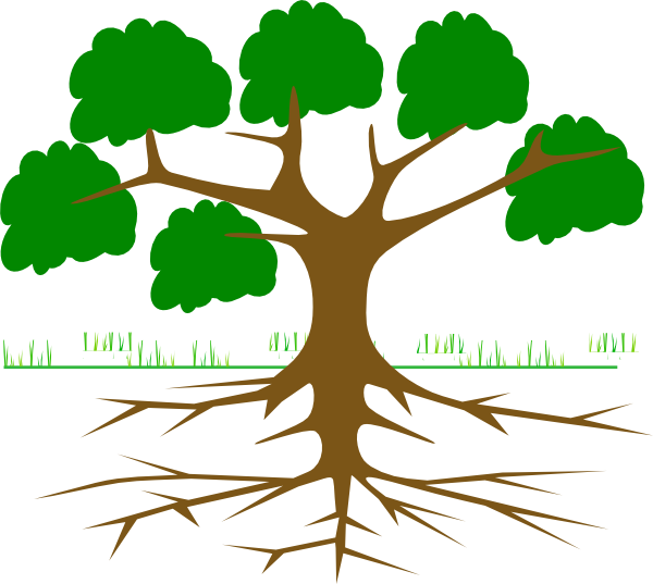tree clipart with roots - photo #20