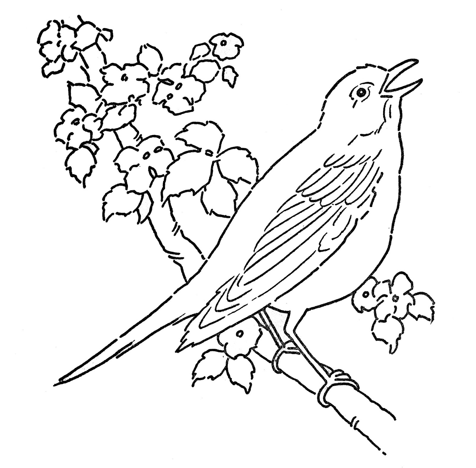 coloring pages line art designs - photo #3