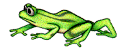 animated_frog_tadpole.gif