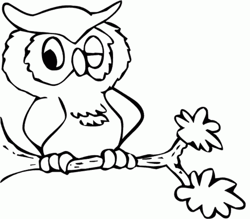 Owl Coloring Pages | All About OWL