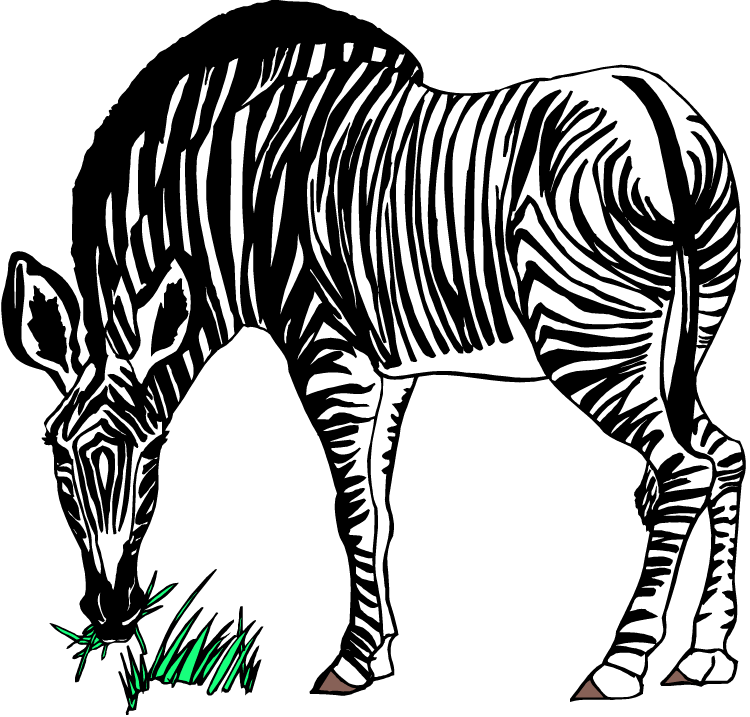 clipart of zebra - photo #27