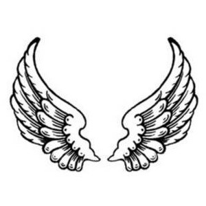 Free Clipart Picture of Feathered Angel Wings - Polyvore