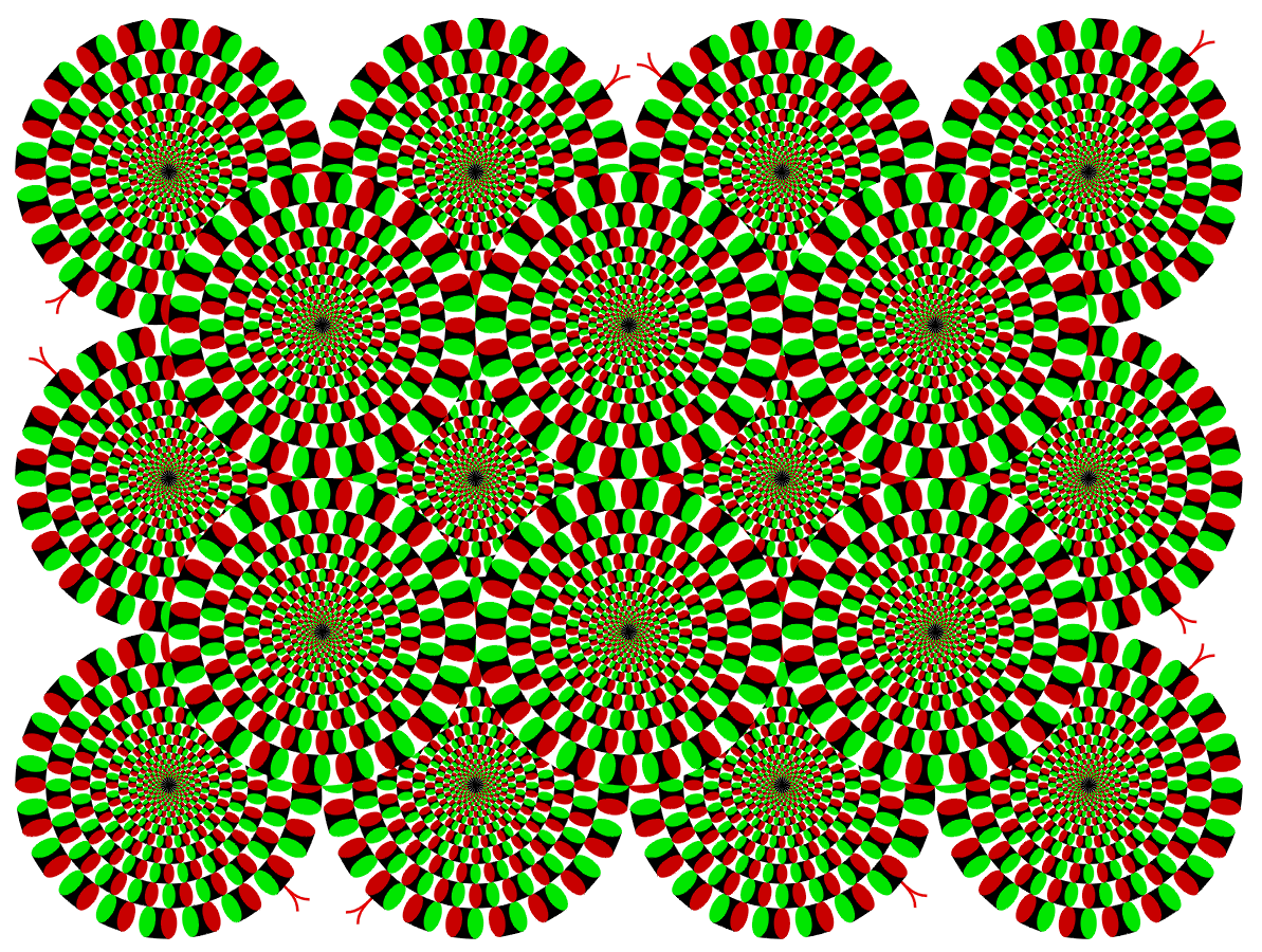 1000+ images about Moving Picture Illusions ...