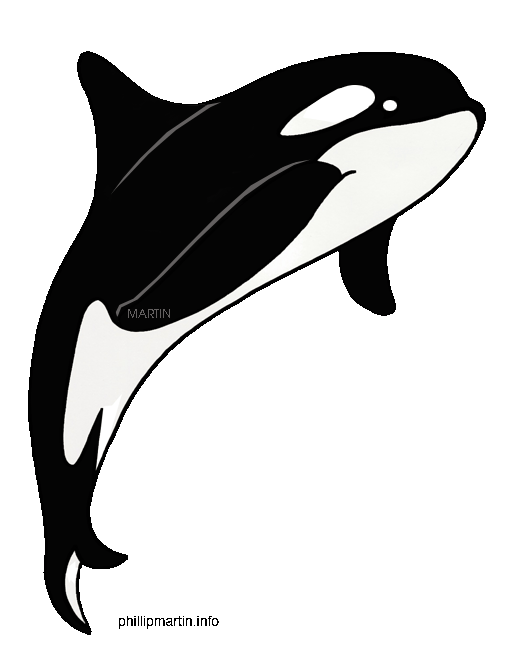 Orca Whale Clipart