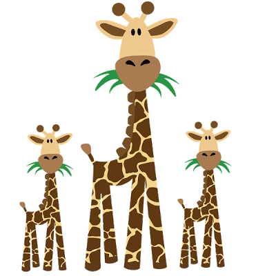 Cute Giraffe - Giraffe Images