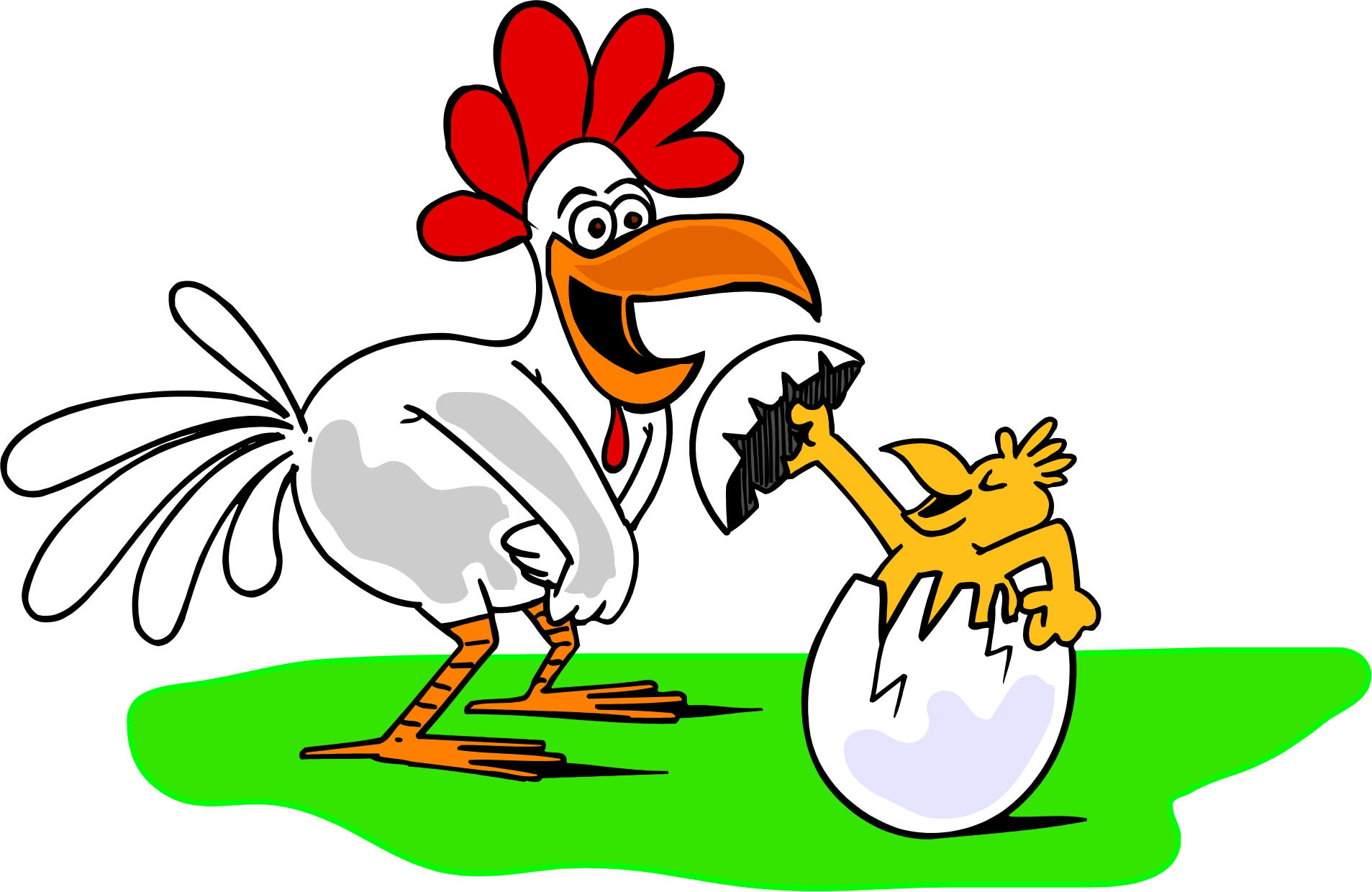 Cartoon chickens images.