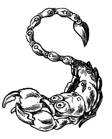 Scorpion Clip Art.jpg