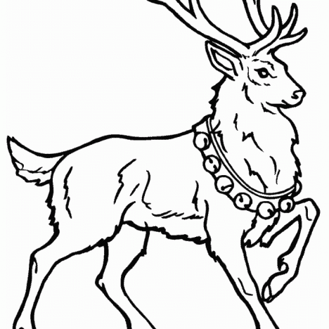 Deer Coloring Pages Free Printable Coloring Pages 14963 ...