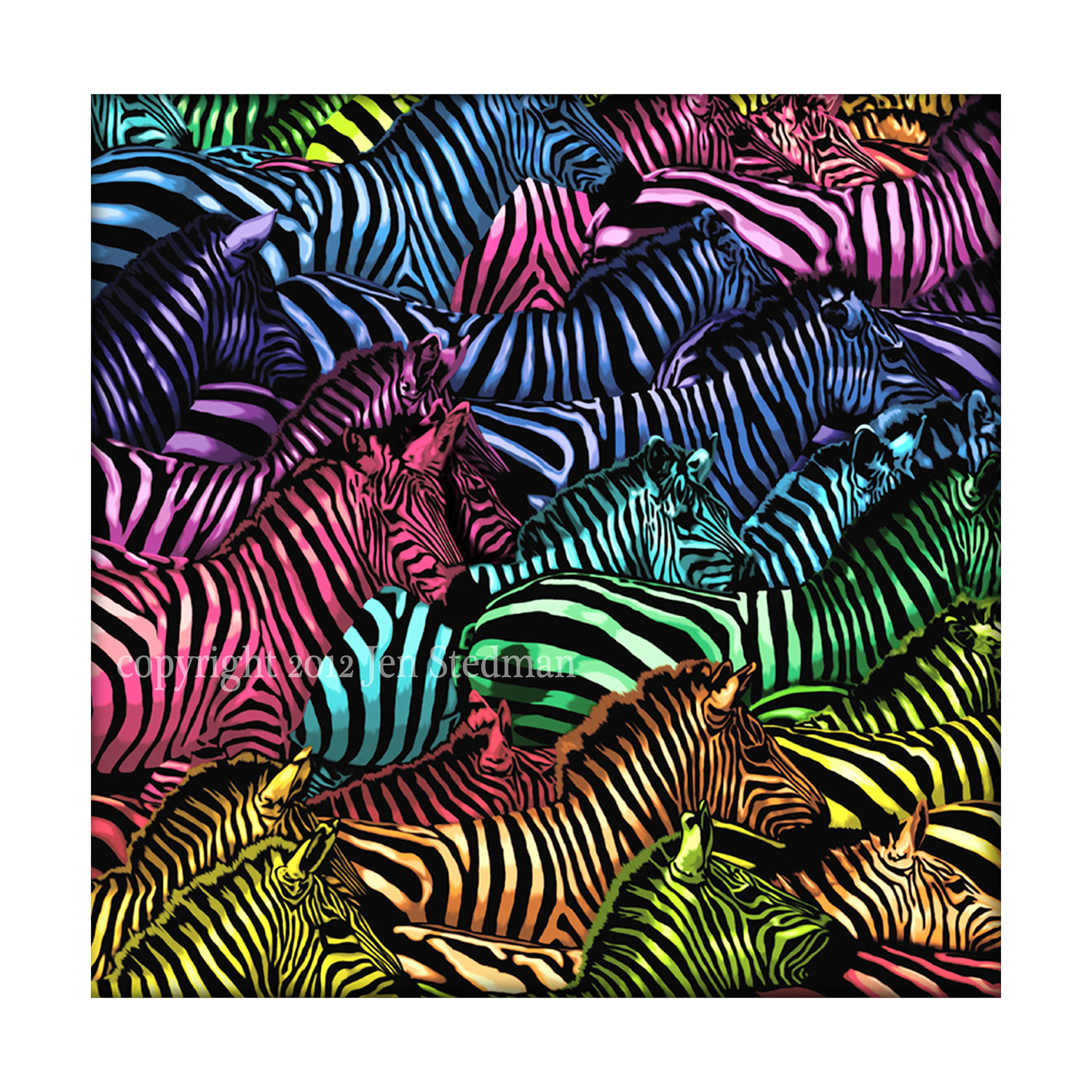 Zebra Prints Images | Images Guru