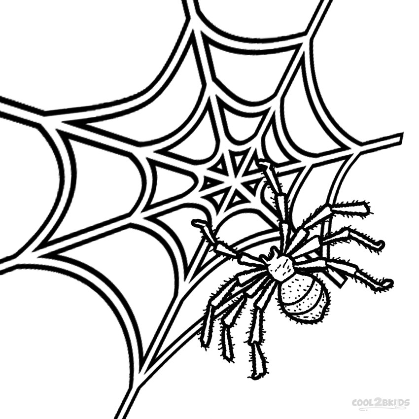 Spider Web Coloring Page throughout draw a web for the spider ...