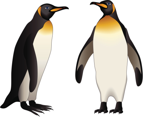 Emperor Penguin Clip Art, Vector Images & Illustrations