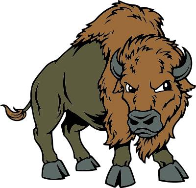 Buffalo bison clip art free clipart image #22821