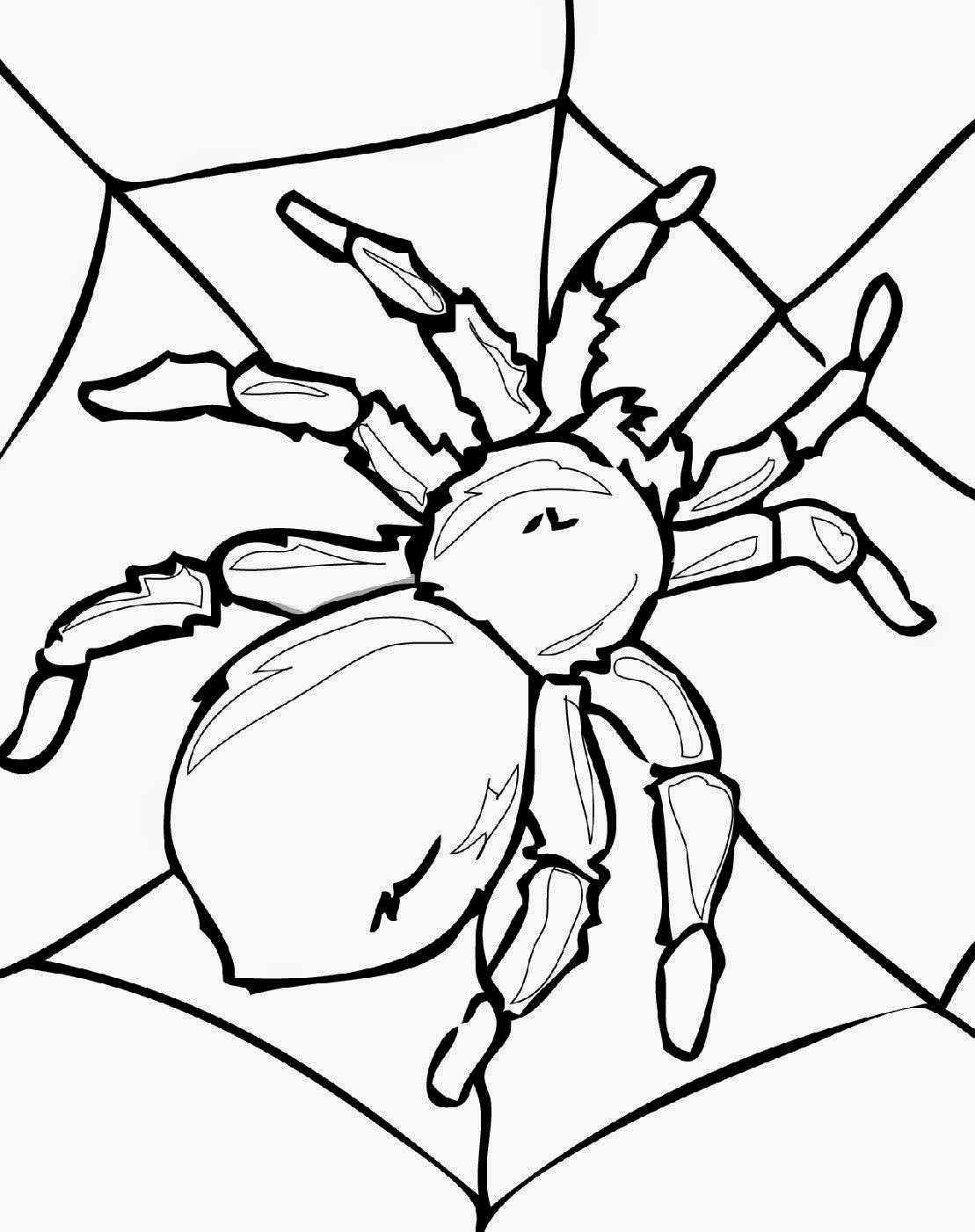 Insect Coloring Sheets | Free Coloring Sheet