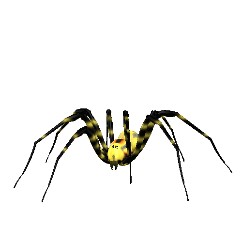 Spider Animated Images - ClipArt Best Spider Animated Images - ClipArt Best