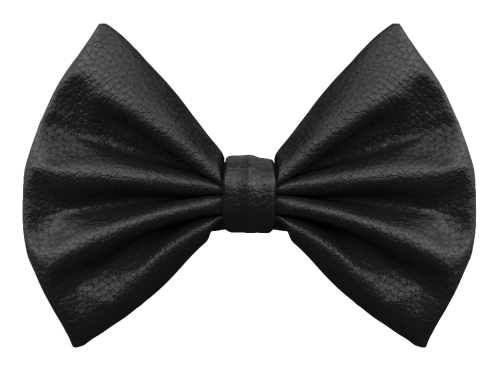 Bow Tie PNG Transparent Image - PngPix
