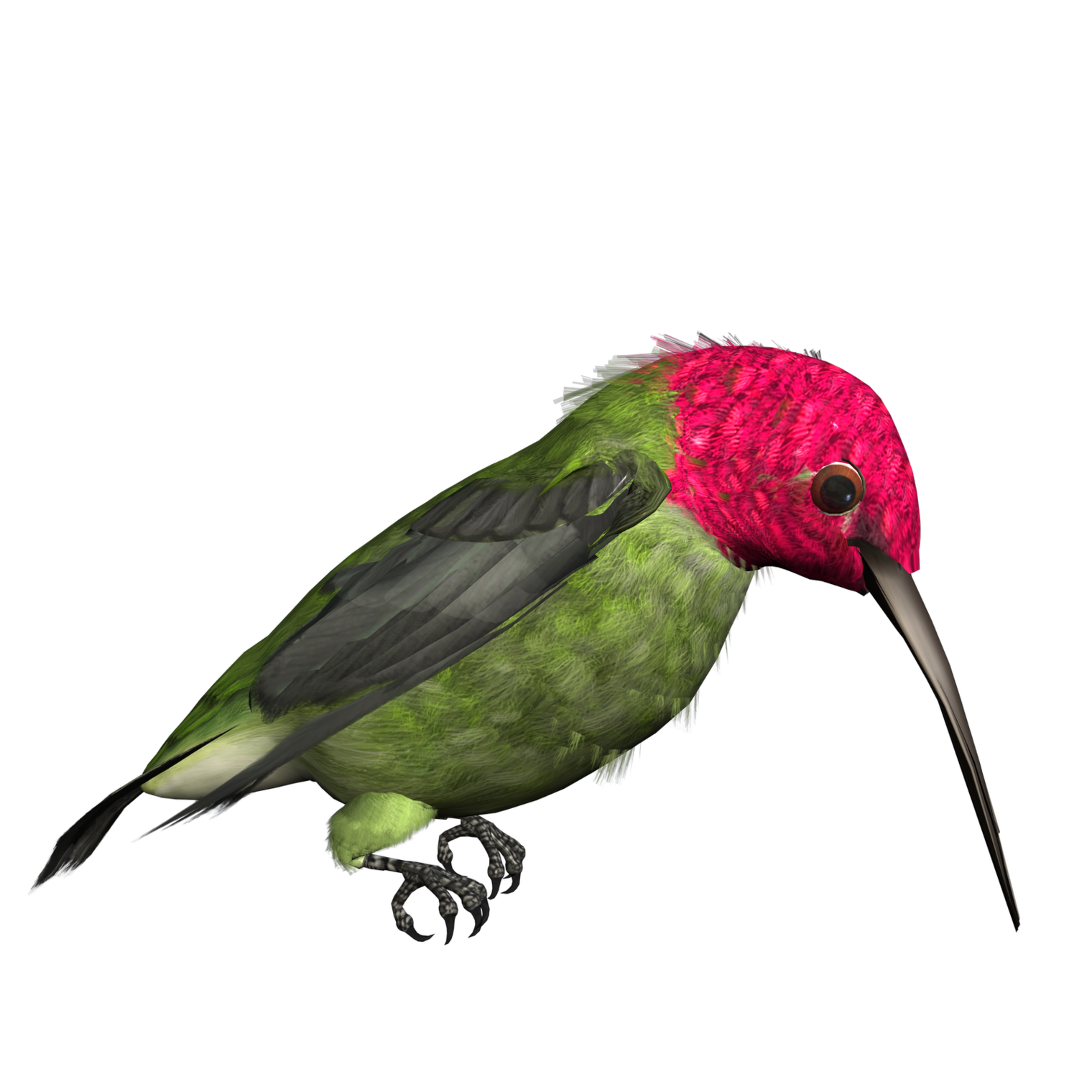 Free High Resolution Graphics And Clip Art Bird Png Clipart - Free ...