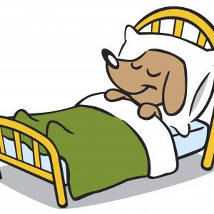 Free Cartoon Girl Sleeping In Bed Clip Art Image | ClipArTidy