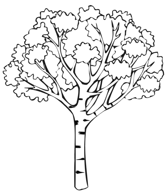 Oak Tree Coloring Page