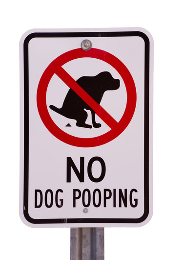 Dog Poop Clean Up Etiquette - Napa's Daily Growl
