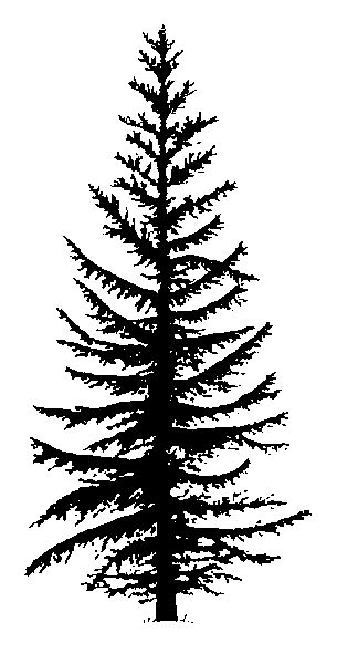 Tree Silhouette Tattoo | Silhouette ...