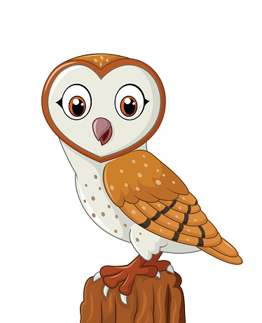 Barn Owl Clip Art, Vector Images & Illustrations
