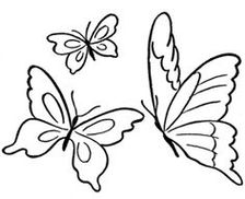 Blank Butterfly Template Clipart - Free to use Clip Art Resource