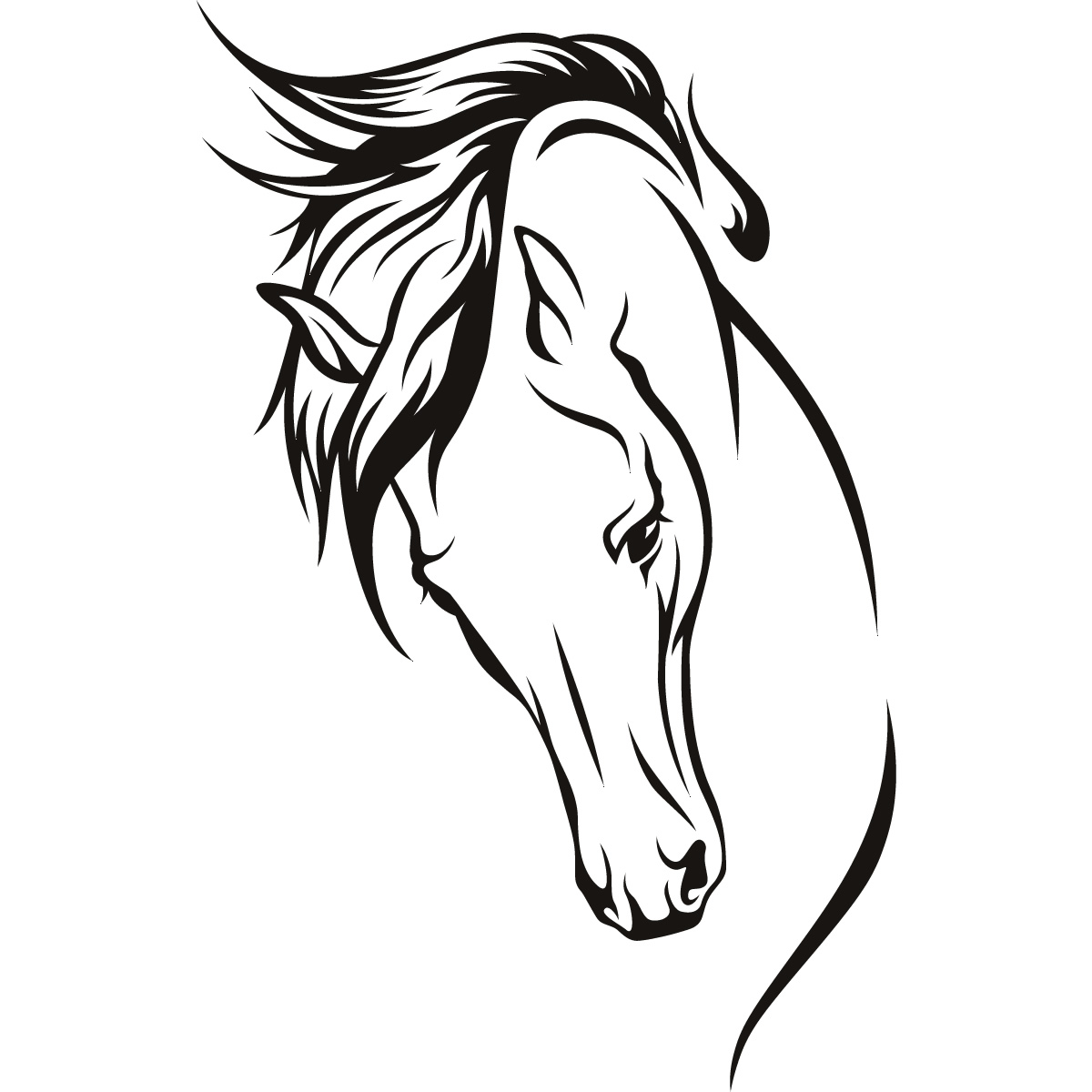 Horse Head Outline Drawings Sketch Coloring Page