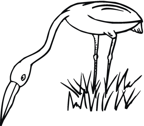 Egret On Grass coloring page | Free Printable Coloring Pages