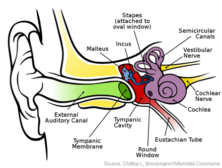 Ear Infections | Ear Infections Baby | Ear Infections Infants