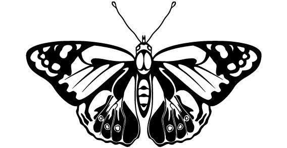 Butterfly Vector | Download Free Vector Graphic Designs ...